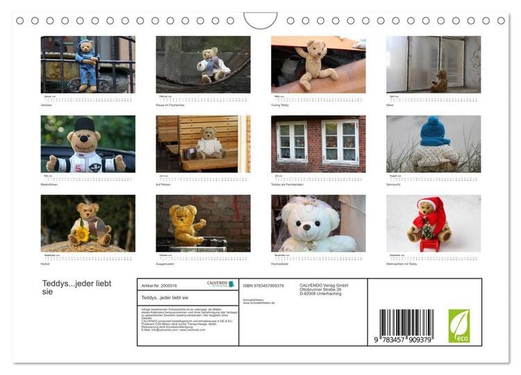 Produktbild: Teddys...jeder liebt sie (Wandkalender 2026 DIN A4 quer), CALVENDO Monatskalender