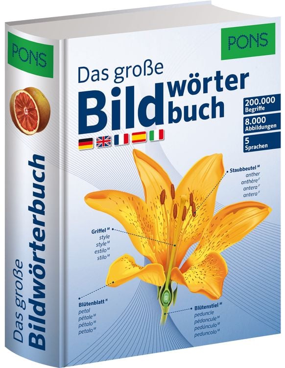 Produktbild: PONS Das Große Bildwörterbuch