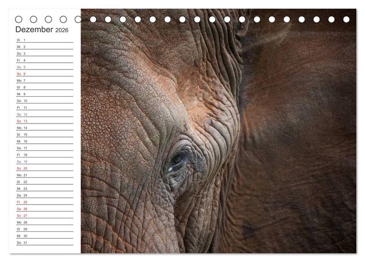 Produktbild: Emotionale Momente: Mein wildes Afrika (Tischkalender 2026 DIN A5 quer), CALVENDO Monatskalender