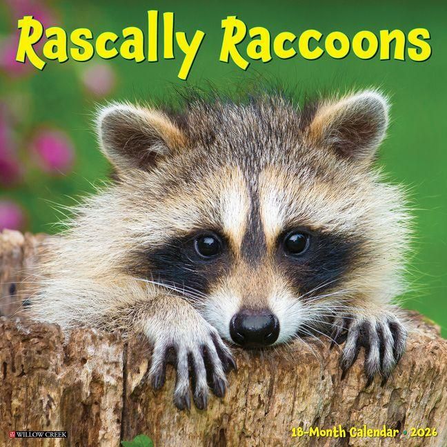 Produktbild: Rascally Raccoons 2026 Wall Calendar
