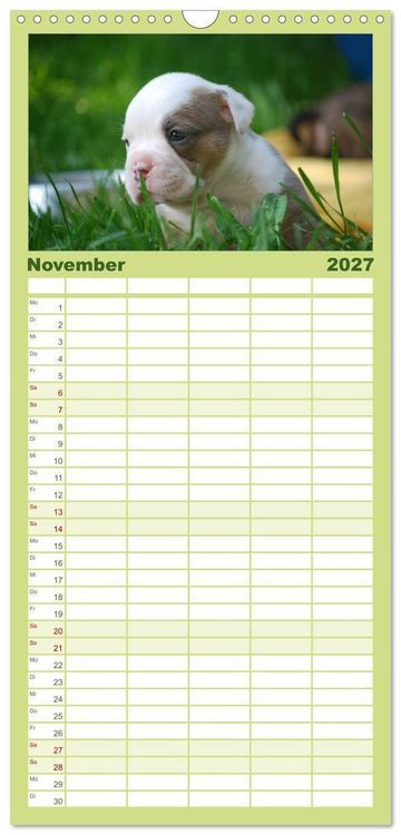 Produktbild: Familienplaner 2027 - Bulldoggen-Kinder mit 5 Spalten (Wandkalender, 21 x 45 cm) CALVENDO