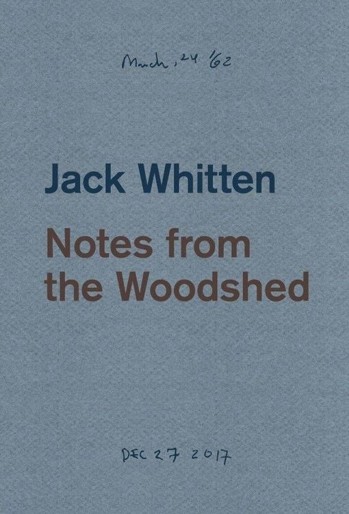Produktbild: Jack Whitten: Notes from the Woodshed