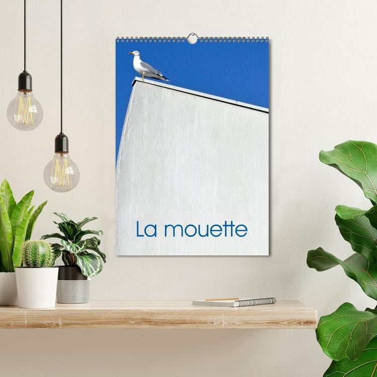 Produktbild: La mouette (Calendrier mural 2026 DIN A3 horizontal), CALVENDO calendrier mensuel