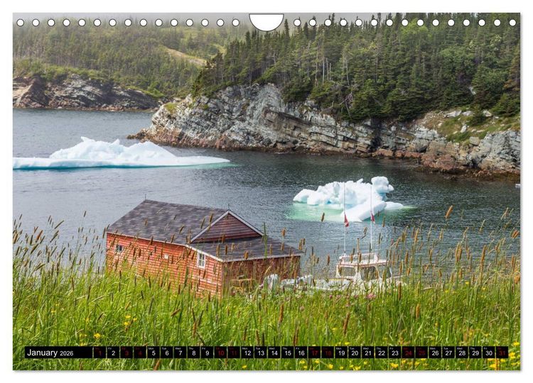 Produktbild: Island of Newfoundland (Wall Calendar 2026 DIN A4 landscape), CALVENDO 12 Month Wall Calendar