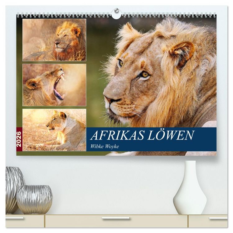 Produktbild: Afrikas L&ouml;wen 2026 (hochwertiger Premium Wandkalender 2026 DIN A2 quer), Kunstdruck in Hochglanz