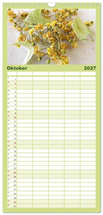 Produktbild: Familienplaner 2027 - Mit Pflanzenkraft nat&uuml;rlich heilen mit 5 Spalten (Wandkalender, 21 x 45 cm) CALVENDO