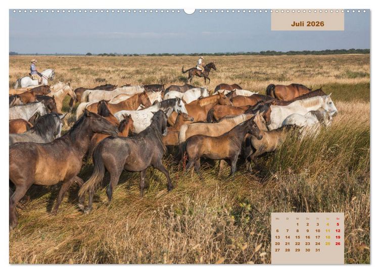 Produktbild: Pferde - Andalusiens wilder Westen (Wandkalender 2026 DIN A2 quer), CALVENDO Monatskalender