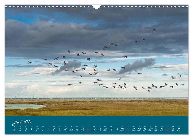 Produktbild: Blick auf die Halbinsel Fischland, Dar&szlig; und Zingst (Wandkalender 2026 DIN A3 quer), CALVENDO Monatskalender