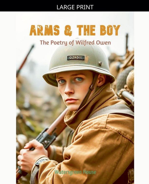 Produktbild: Arms & the Boy