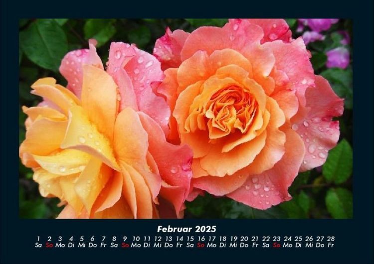 Produktbild: Blumenzauber 2025 Fotokalender DIN A4