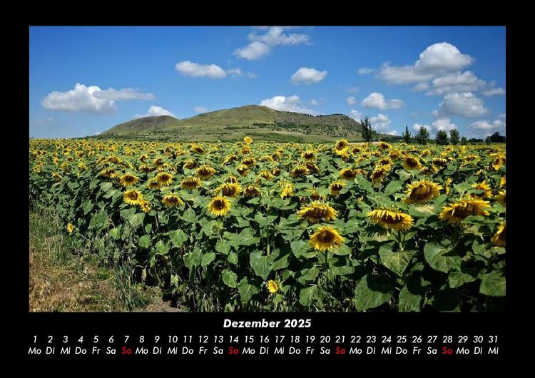 Produktbild: Blumenkalender 2025 Fotokalender DIN A3
