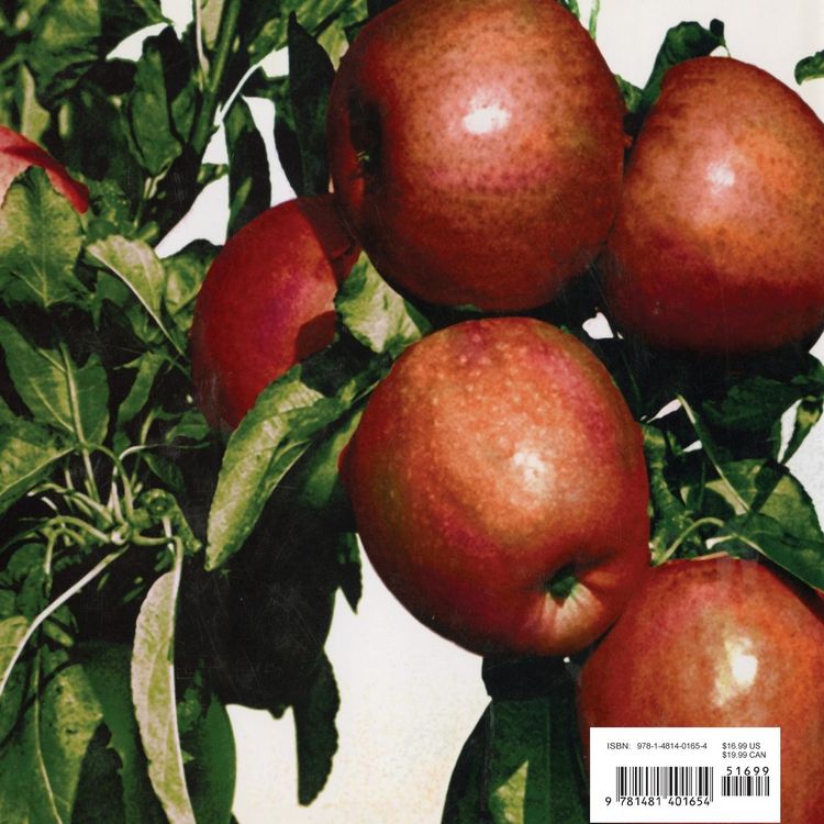 Produktbild: Apples
