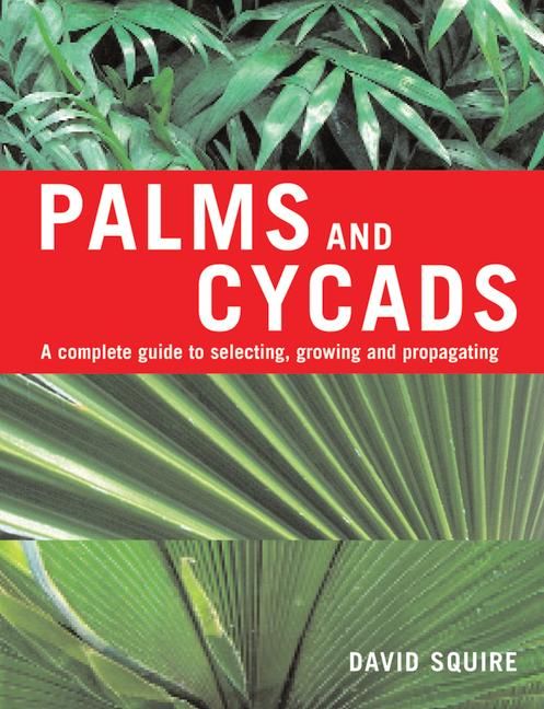 Produktbild: Palms and Cycads