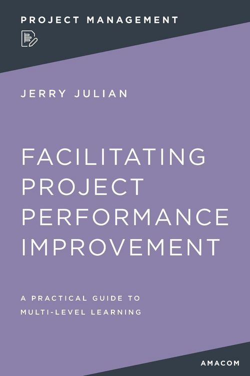 Produktbild: The Facilitating Project Performance Improvement