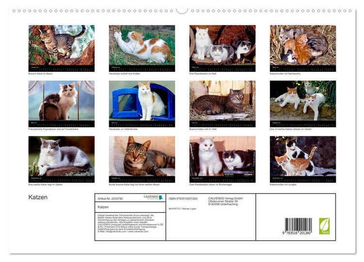 Produktbild: Katzen (hochwertiger Premium Wandkalender 2026 DIN A2 quer), Kunstdruck in Hochglanz