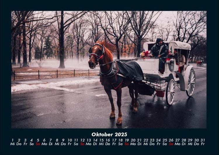 Produktbild: New York 2025 Fotokalender DIN A4
