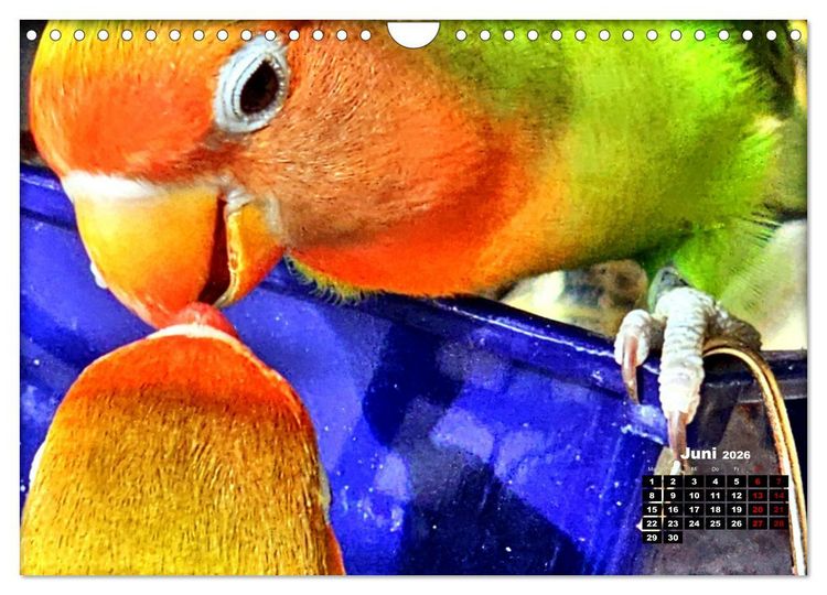 Produktbild: Die Unzertrennlichen (Wandkalender 2026 DIN A4 quer), CALVENDO Monatskalender