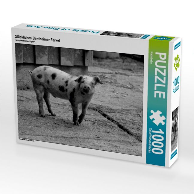Produktbild: CALVENDO Puzzle Gl&uuml;ckliches Bentheimer Ferkel | 1000 Teile Lege-Gr&ouml;&szlig;e 64x48cm Foto-Puzzle f&uuml;r gl&uuml;ckliche Stunden