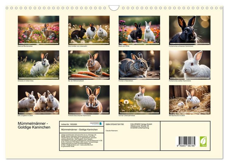 Produktbild: M&uuml;mmelm&auml;nner - Goldige Kaninchen (Wandkalender 2026 DIN A3 quer), CALVENDO Monatskalender