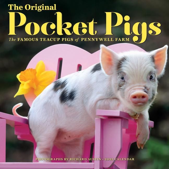 Produktbild: Original Pckt Pigs Wall Cal 20