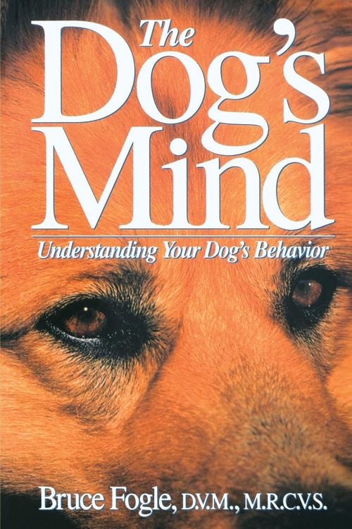 Produktbild: The Dog's Mind