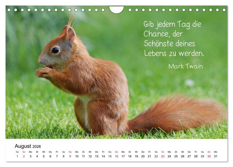 Produktbild: Der literarische Eichh&ouml;rnchen-Kalender (Wandkalender 2026 DIN A4 quer), CALVENDO Monatskalender