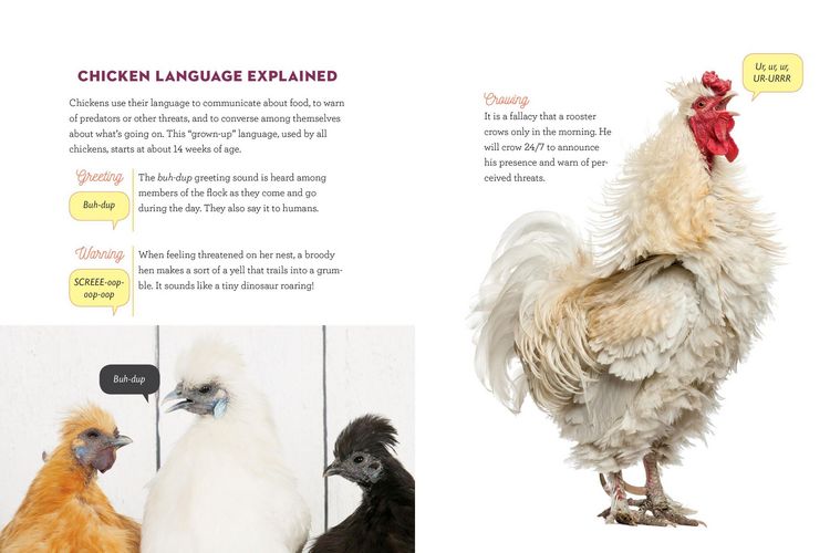 Produktbild: How to Speak Chicken