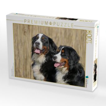 Produktbild: CALVENDO Puzzle Berner Sennenhunde | 1000 Teile Lege-Gr&ouml;&szlig;e 64x48cm Foto-Puzzle f&uuml;r gl&uuml;ckliche Stunden