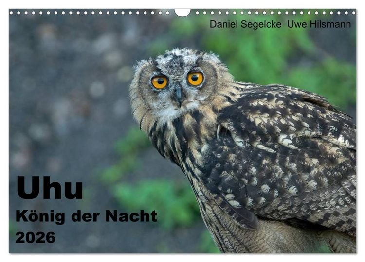 Produktbild: Uhu - K&ouml;nig der Nacht (Wandkalender 2026 DIN A3 quer), CALVENDO Monatskalender