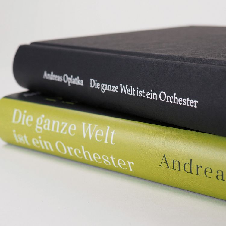 洋楽 DIE GANZE WELT DER KLASSIK 1 Die ganze Welt ist ein Orchester