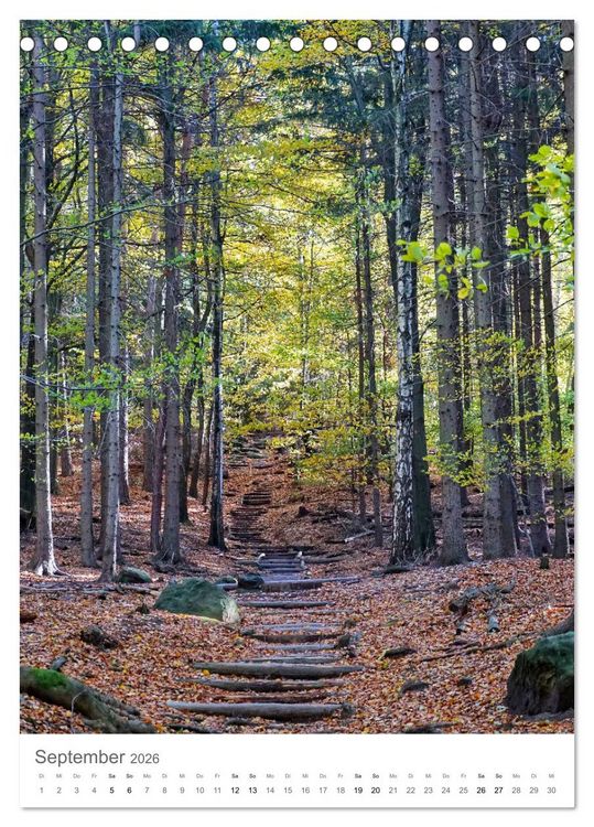 Produktbild: Wald - bezaubernde Landschaften (Tischkalender 2026 DIN A5 hoch), CALVENDO Monatskalender