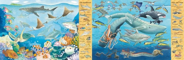 Mein erstes Wimmelbuch: Am Meer