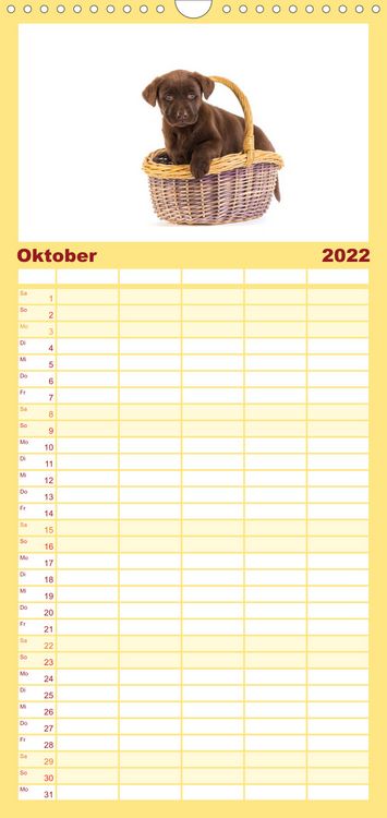 Produktbild: Familienplaner Labrador - Welpen (Wandkalender 2022 , 21 cm x 45 cm, hoch)
