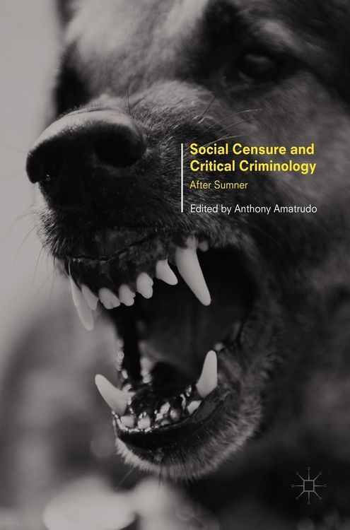 Produktbild: Social Censure and Critical Criminology