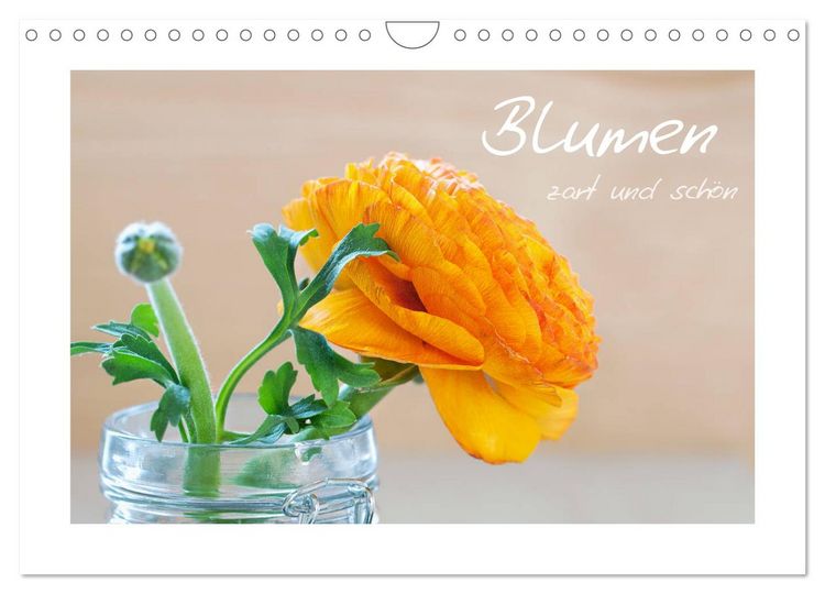 Produktbild: Blumen zart und sch&ouml;n (Wandkalender 2026 DIN A4 quer), CALVENDO Monatskalender