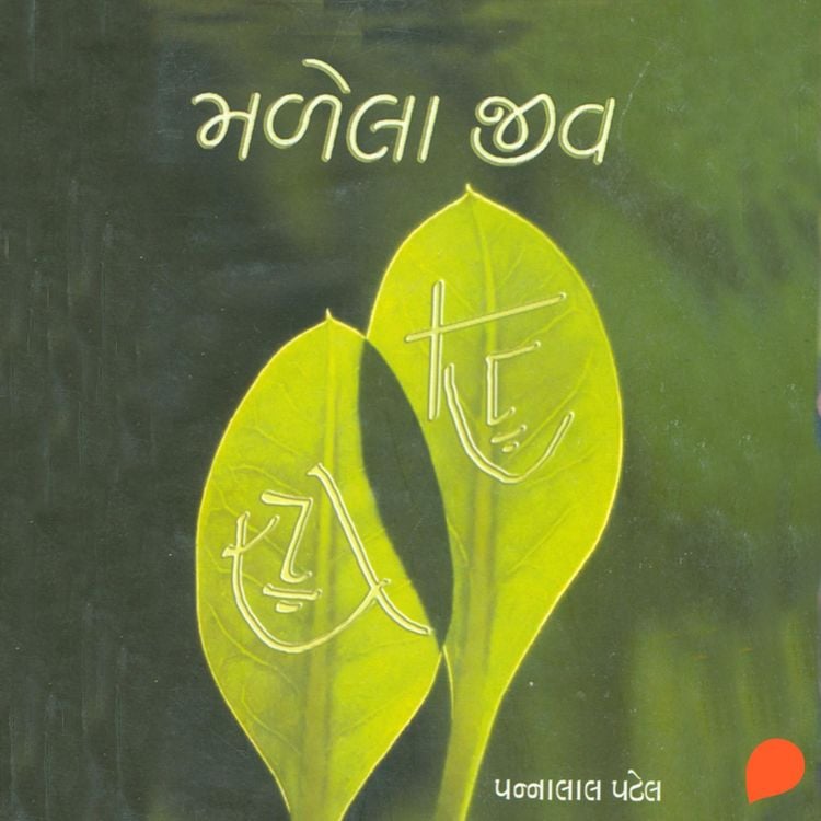 Produktbild: Malela Jiv