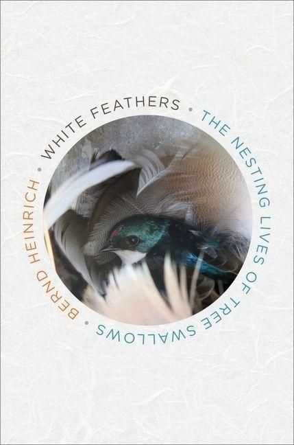 Produktbild: White Feathers
