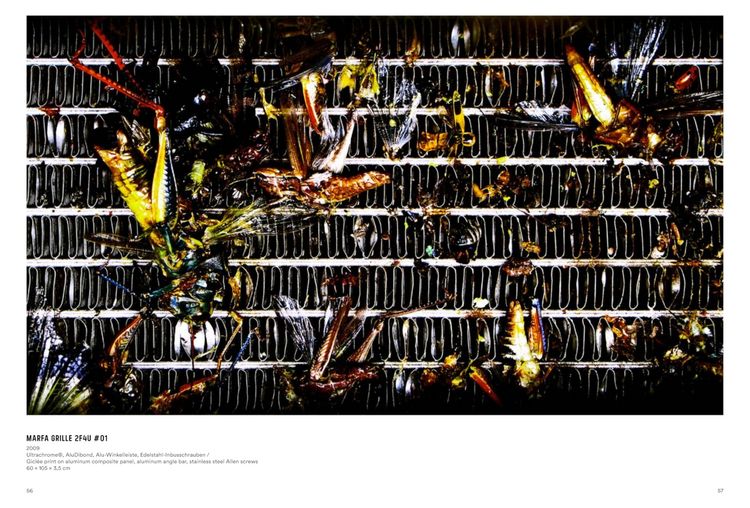 Produktbild: Rolf Walz. Blind Spot Bias