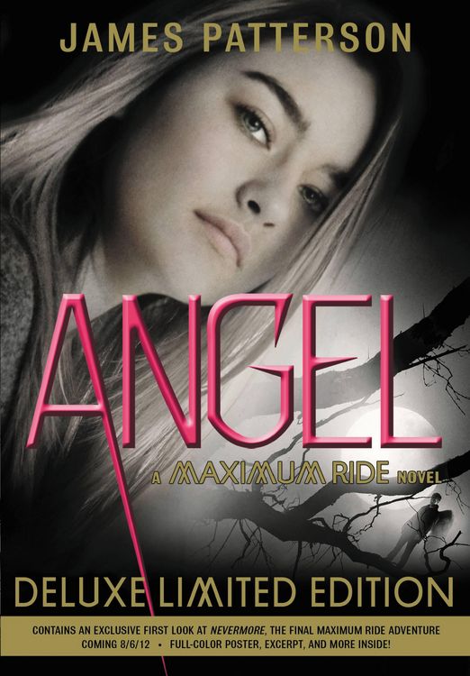 Produktbild: Angel