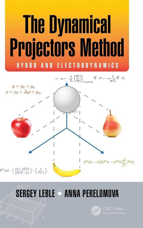 Produktbild: The Dynamical Projectors Method