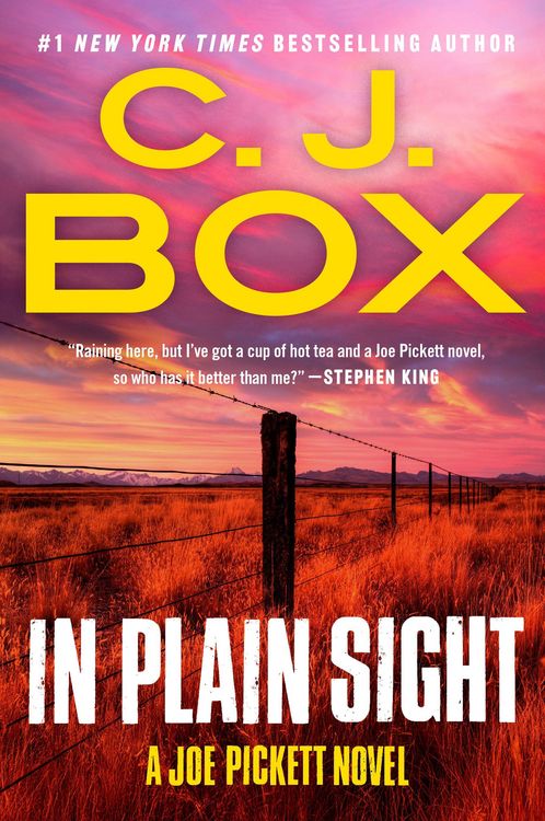 Produktbild: In Plain Sight