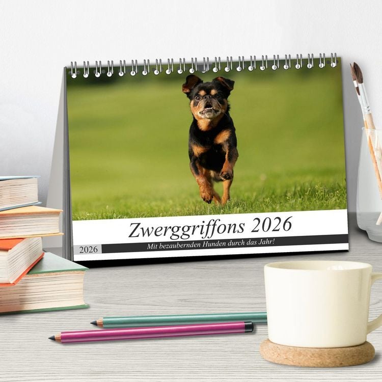 Produktbild: Zwerggriffons 2026 (Tischkalender 2026 DIN A5 quer), CALVENDO Monatskalender