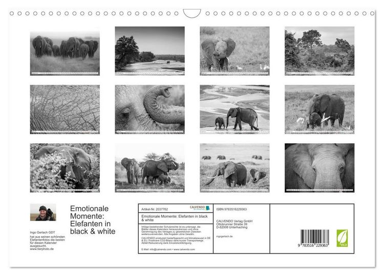 Produktbild: Emotionale Momente: Elefanten in black & white (Wandkalender 2026 DIN A3 quer), CALVENDO Monatskalender