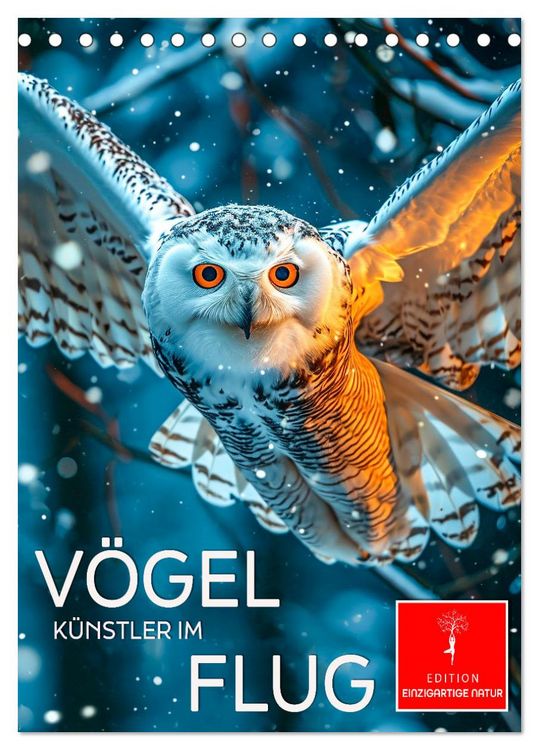 Produktbild: V&ouml;gel - K&uuml;nstler im Flug (Tischkalender 2026 DIN A5 hoch), CALVENDO Monatskalender