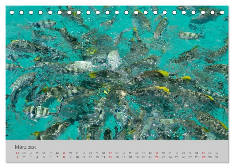 Produktbild: Lichtblicke - Seychellen (Tischkalender 2026 DIN A5 quer), CALVENDO Monatskalender