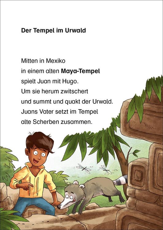 Produktbild: Lesel&ouml;wen 2. Klasse - Abenteuer im Maya-Tempel