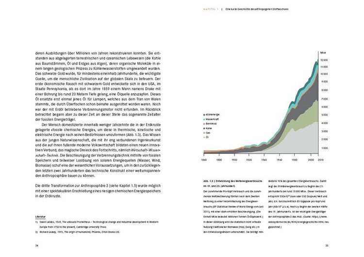 Produktbild: Die Domestikation der Erde