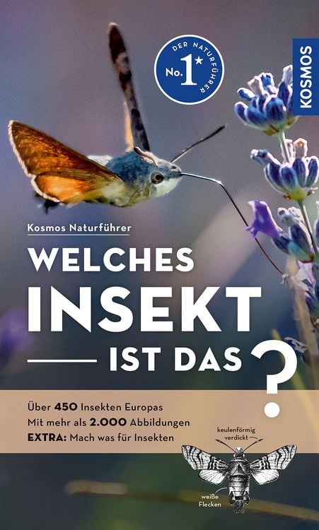 Produktbild: Welches Insekt ist das?