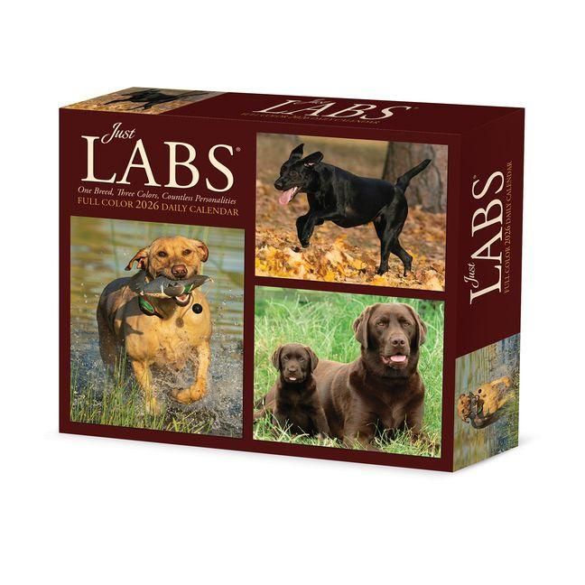 Produktbild: Just Labs 2026 Box Calendar