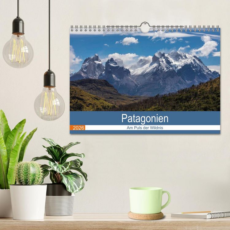 Produktbild: Patagonien - Am Puls der Wildnis (Wandkalender 2026 DIN A4 quer), CALVENDO Monatskalender